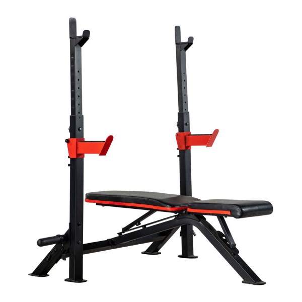 Adjustable Weight Bench And Dip Station