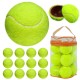 Tennis Ball (1)