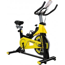 Spinning Bike  LTQ3