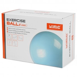 PVC Gym Ball LS3221-55CM