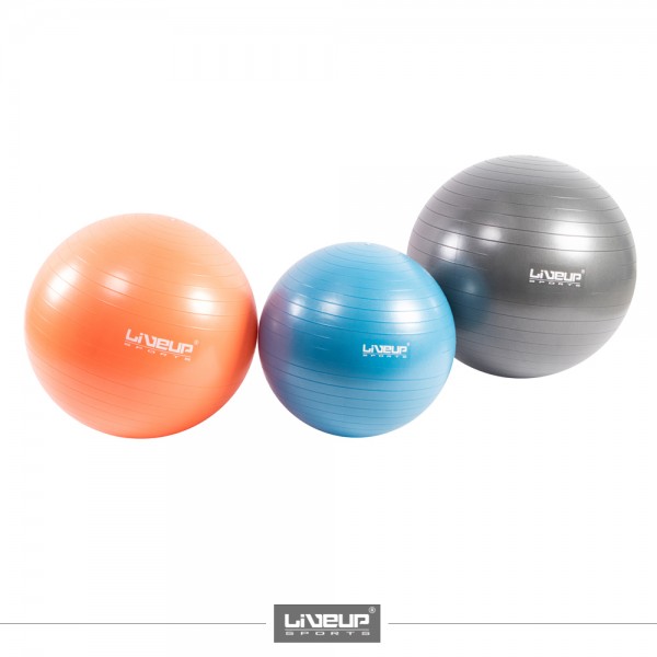 PVC Gym Ball LS3221-55CM 