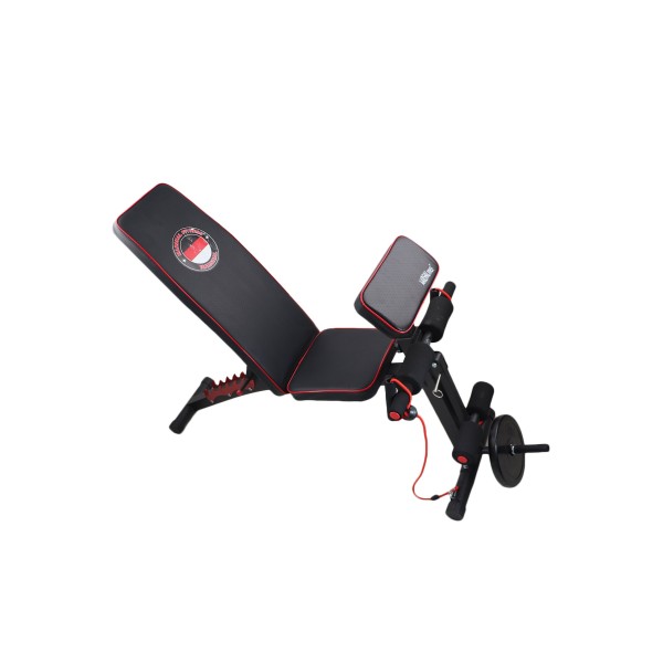 MFDS-S056 Foldable / Adjustable Dumbbell Weight Lifting Sit Up Bench 